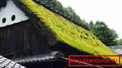 Традиционные норвежские дерновые крыши